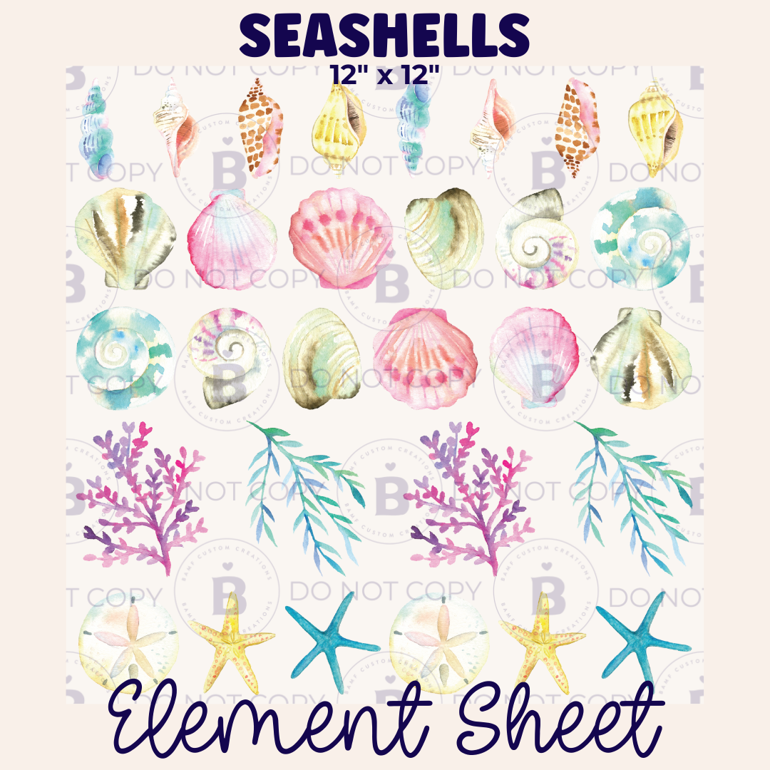 E016 | Seashells | Element Sheet