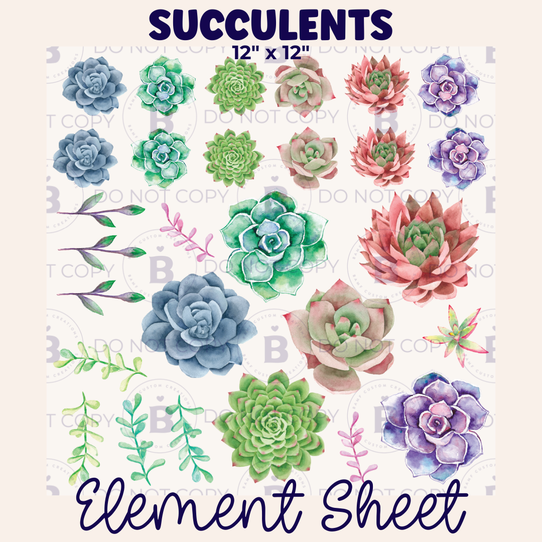 E033 | Succulents | Element Sheet
